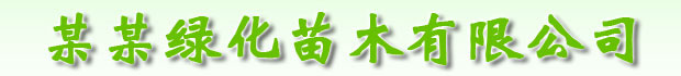 ĳĳƼ޹˾